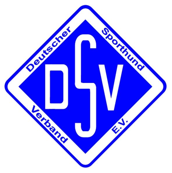 dsvlogo